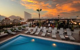 Mayan Monkey Los Cabos - Social Hotel (Adults Only)