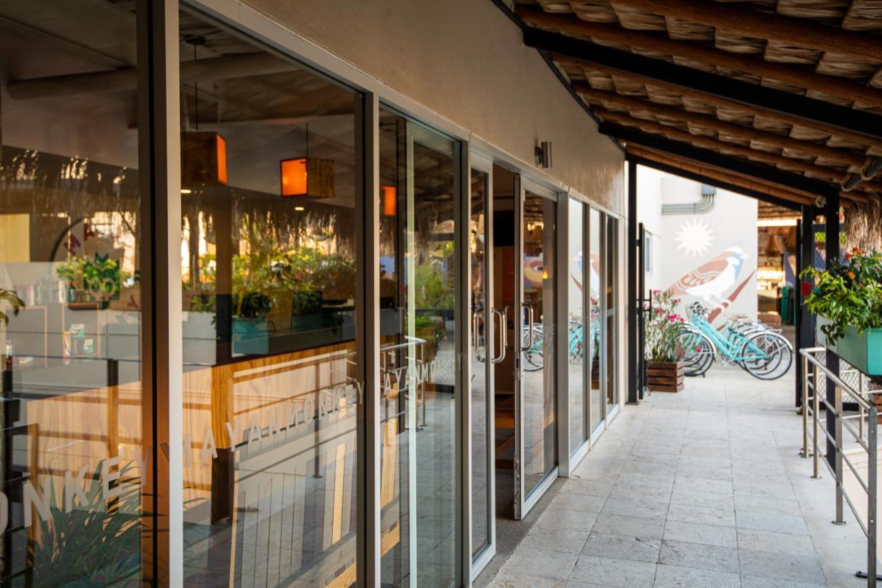 Mayan Monkey Los Cabos - Social Hotel (Adults Only) Cabo San Lucas Exterior photo